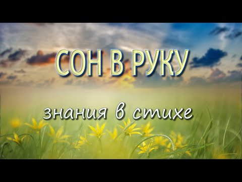 «СОН В РУКУ»